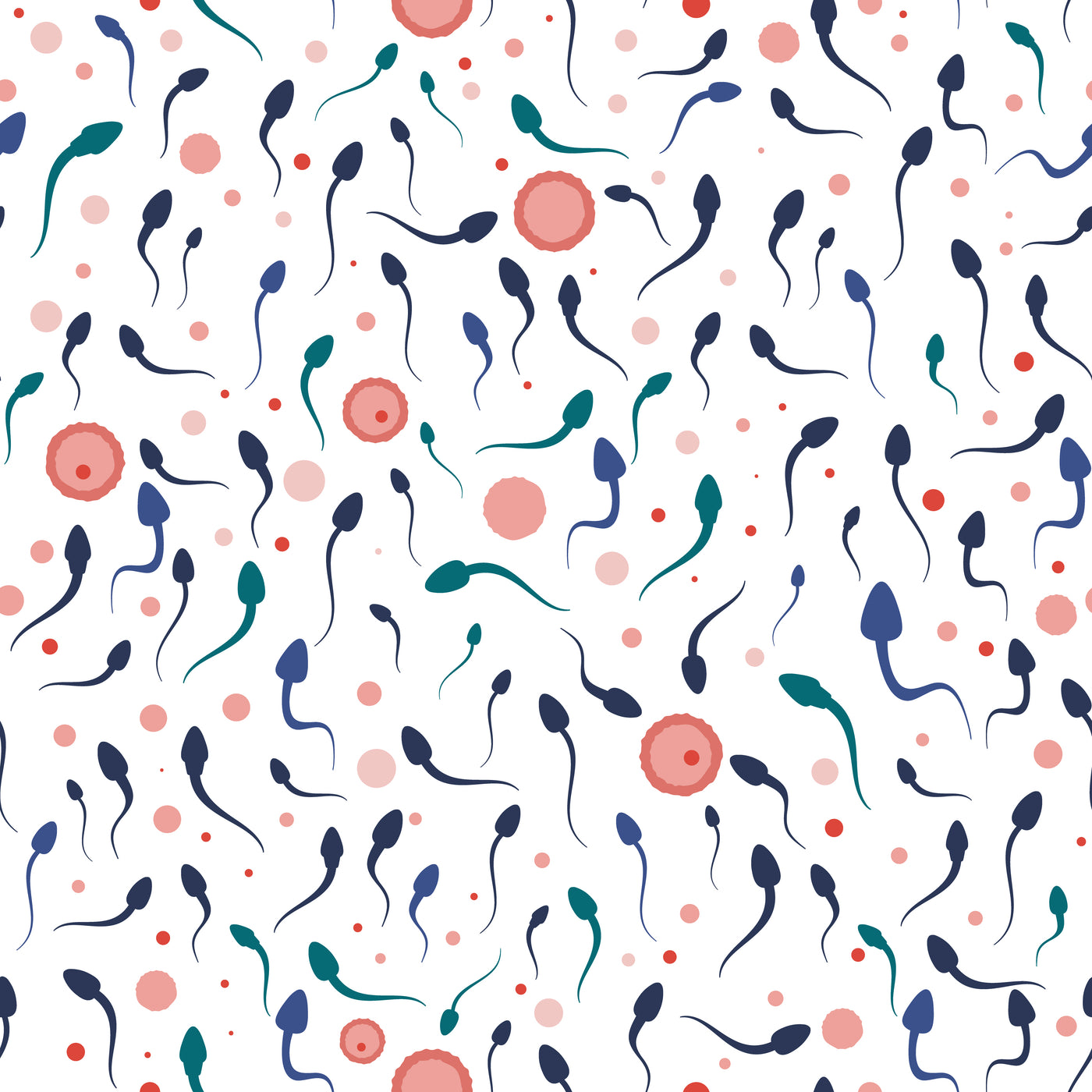Sperm & Egg- Ponytail