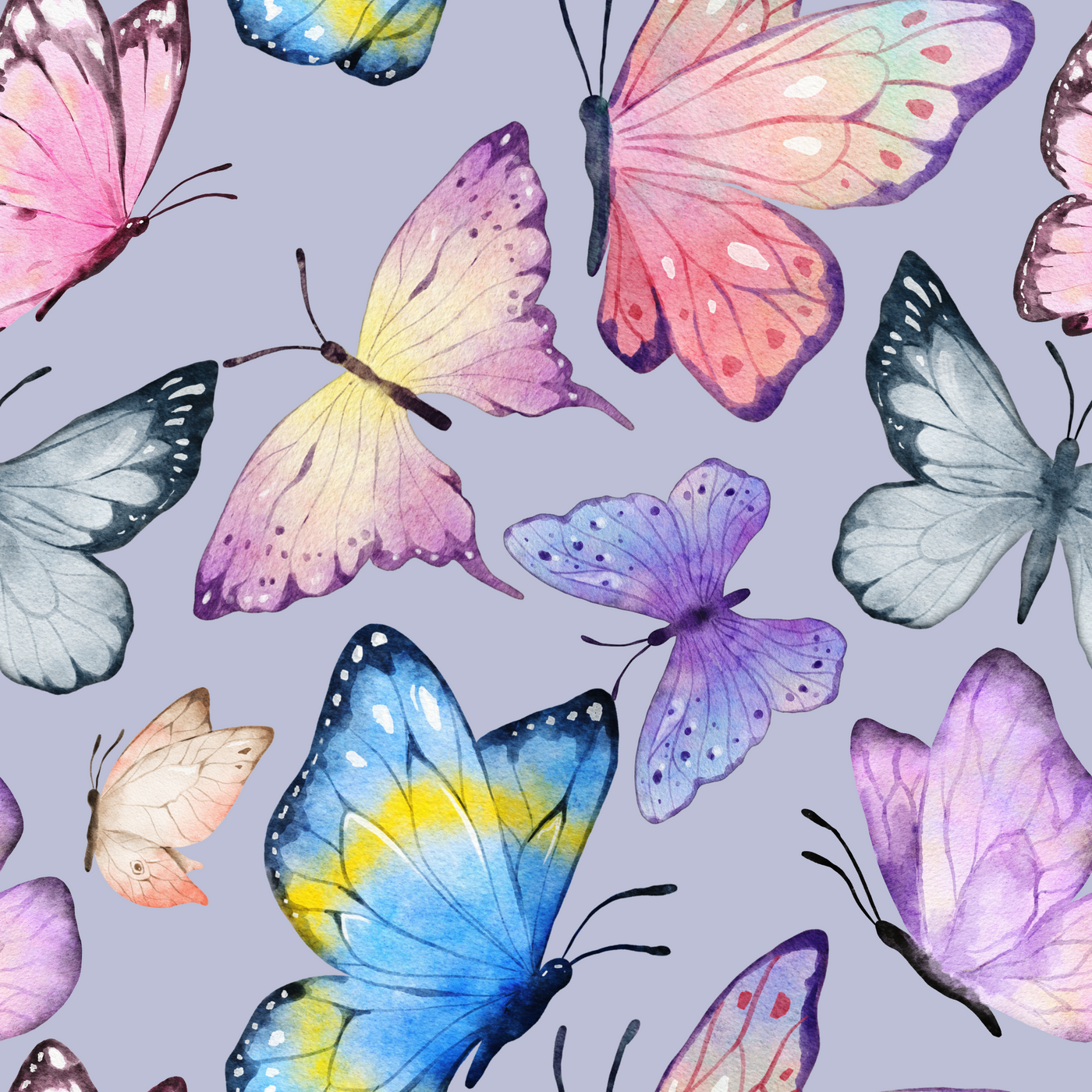 Butterfly Watercolor- Euro