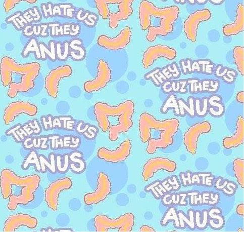 Hate Us Cuz They Anus- Classic